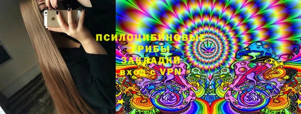 круглые Алзамай