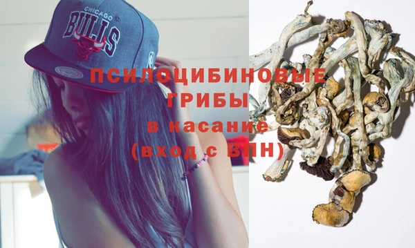 амф Алексин