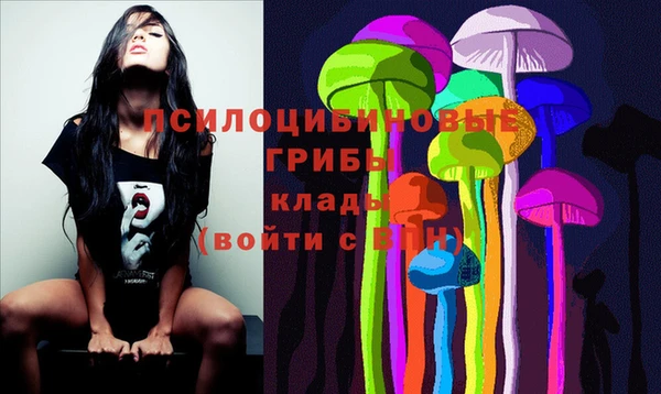 круглые Алзамай