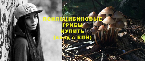 круглые Алзамай