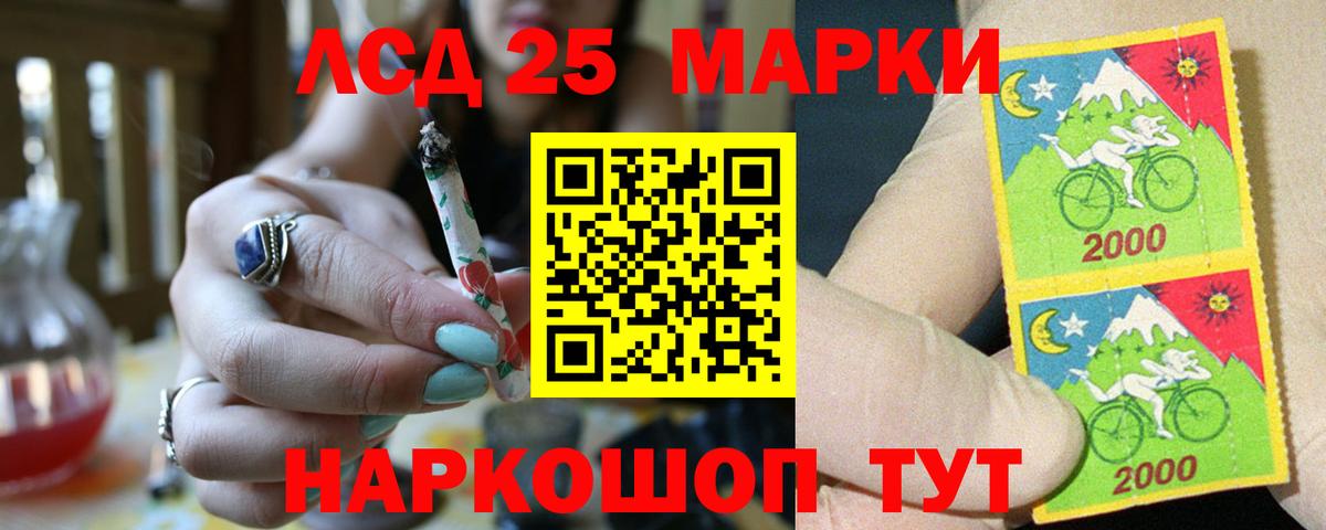 Лсд 25 экстази ecstasy  Лсд 25 экстази кислота  LSD-25 экстази  Вход с VPN  Бердск 