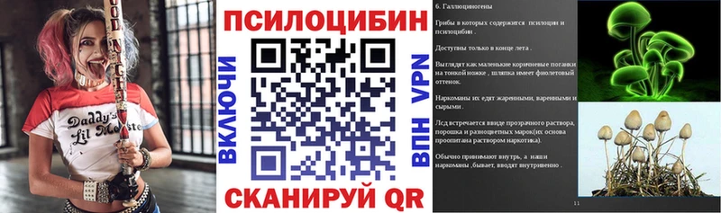 купить закладку  Бердск  darknet как зайти  Галлюциногенные грибы MAGIC MUSHROOMS  kraken сайт 