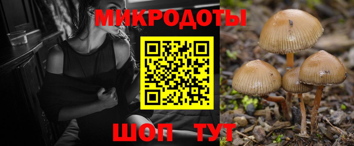 Галлюциногенные грибы Psilocybe  Вход с VPN  Бердск 